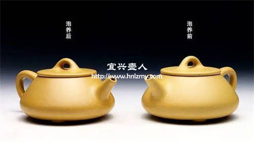 為什么有的人養壺速度很快還漂亮